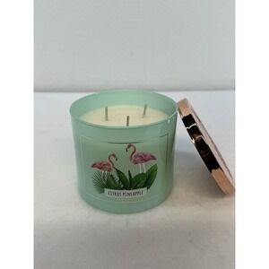 Everyday Luxe Citrus Pineapple 3 Wick 14.5oz Candle
